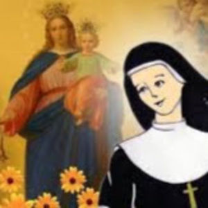 Meet your Posher, Sandy